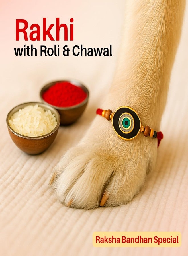 Sage Square Paw Bandhan Evil Eye Rakhi for Dogs, Cats & Small Pets | Celebrate Bonds of Love This Raksha Bandhan | Cute Rakhi with Beads | Gift for Pet Lovers & Furry Companions (Type 1) - Image 3